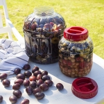 Słój wielofunkcyjny do fermentacji 8l plastikowy
