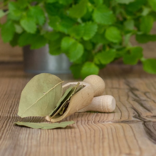 liść laurowy, przyprawy z całego świata, gdzie kupić przyprawy.jpg