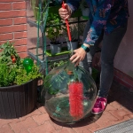 szczotka do mycia balonów na wino, drożdże do bimbru, drożdże turbo, akcesoria do produkcji alkoholu,3.webp