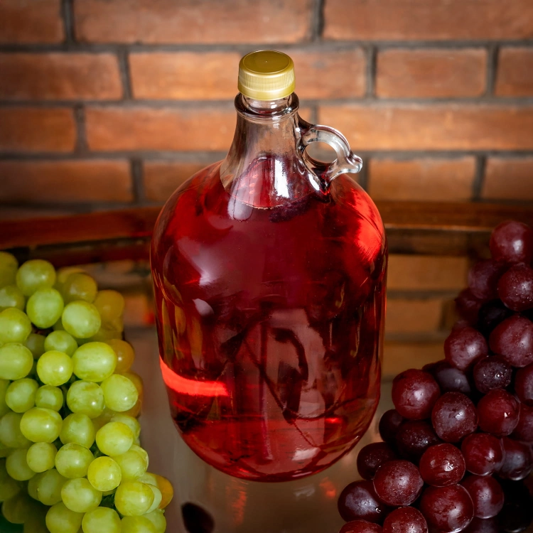 Gąsior DAMA, butelka na wino i bimber 5l z zakrętką 2.jpg