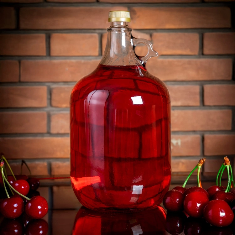 Gąsior DAMA, butelka na wino i bimber 5l z zakrętką 4.jpg