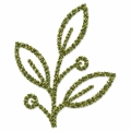 logo_czosnek niedźwiedzi, suszony czosnek niedźwiedzi, przyprawa czosnek niedźwiedzi, czosnek do sałatek, czosnek do masła czosnkowego, aromatyczne zioła, czosnek d.png