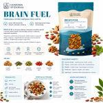 plansza_brain fuel, przekąska na koncentrację, mix orzechów i jagód goji, przekąska do pracy, przekąska do nauki, orzechy i pestki dyni, zdrowa przekąska do biura, pistacje.png
