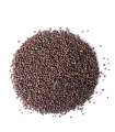 luz_gorczyca czarna, gorczyca czarna ziarnista, czarna gorczyca, przyprawa do curry, gorczyca do marynat, przyprawy orientalne, nasiona gorczycy czarnej, gorc.webp