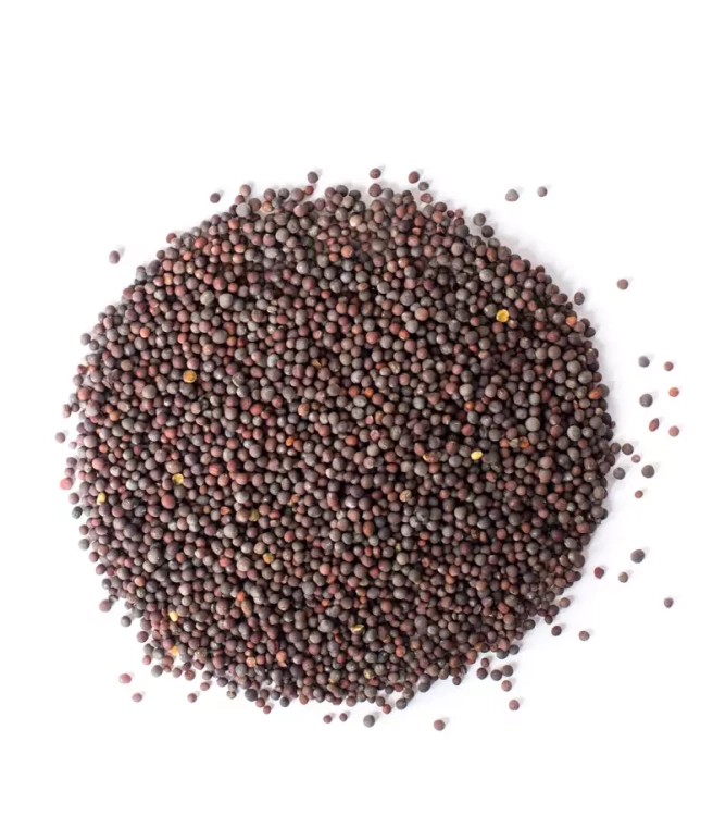 luz_gorczyca czarna, gorczyca czarna ziarnista, czarna gorczyca, przyprawa do curry, gorczyca do marynat, przyprawy orientalne, nasiona gorczycy czarnej, gorc.webp