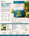 plansza_jęczmień zielony, młody jęczmień, zielony jęczmień proszek, jęczmień do smoothie, młody jęczmień do koktajli, zielony jęczmień zastosowanie, produkty roślinne,.png