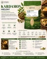 plansza_kardamon mielony, przyprawa kardamon, kardamon do kawy, kardamon do herbaty, przyprawa do wypieków, kardamon do deserów, przyprawy orientalne, kardamon zastoso.png