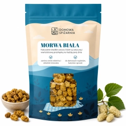 Morwa biała