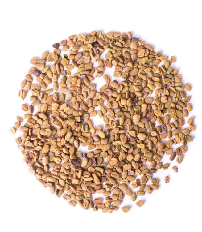 kozieradka ziarno, kozieradka ziarnista, nasiona kozieradki, przyprawa kozieradka, kozieradka do marynat, kozieradka do mięsa, przyprawy orientalne, kozieradka do kiełbas, naturalne  (1).webp