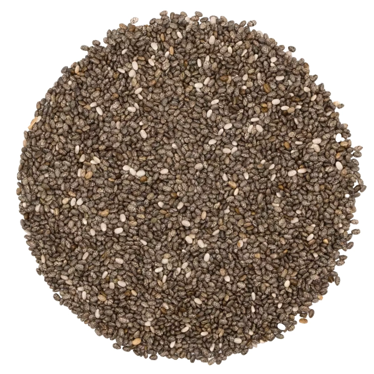 nasiona chia, szałwia hiszpańska, chia, nasiona chia do puddingów, chia do koktajli, chia do owsianki, nasiona omega 3, błonnik, zdrowe nasiona, superfood, nasiona do jogurtu, chia do wyp (1).webp