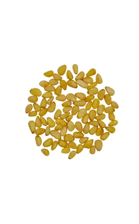 orzechy pini, orzeszki piniowe, piniole, orzechy do pesto, orzechy do sałatek, orzechy do makaronu, orzechy śródziemnomorskie, naturalne orzechy pini, zdrowa przekąska, orzechy premium, p (1).webp
