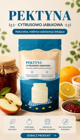 Stylowość w każdym szwie