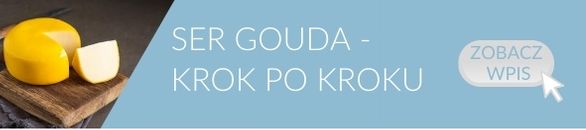 Jak zrobić ser Gouda
