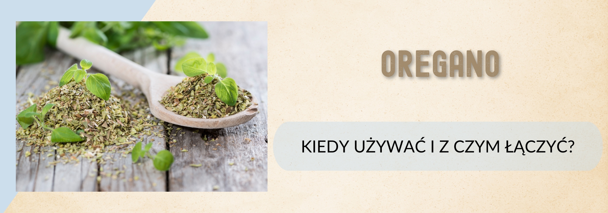 Oregano – kiedy używać i z czym łączyć?