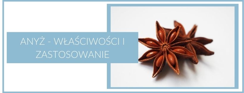 Anyż gwiaździsty - jego właściwości i zastosowanie